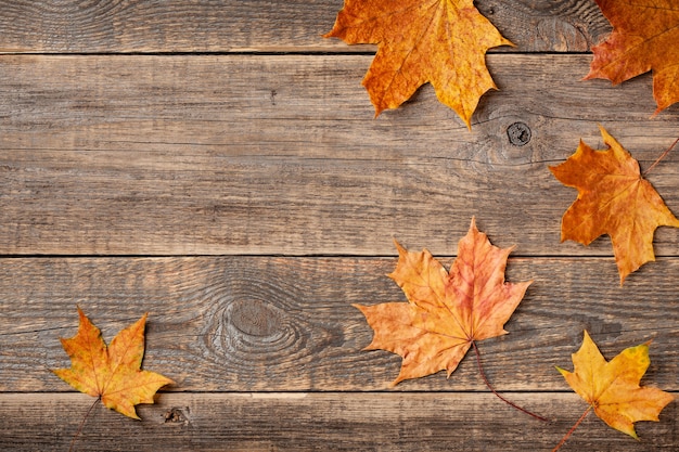 Herfst achtergrond met herfst esdoorn bladeren op houten achtergrond