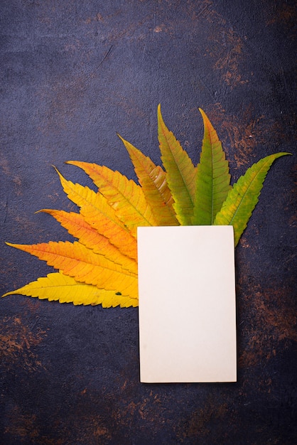 Herfst achtergrond met kleurrijke bladeren