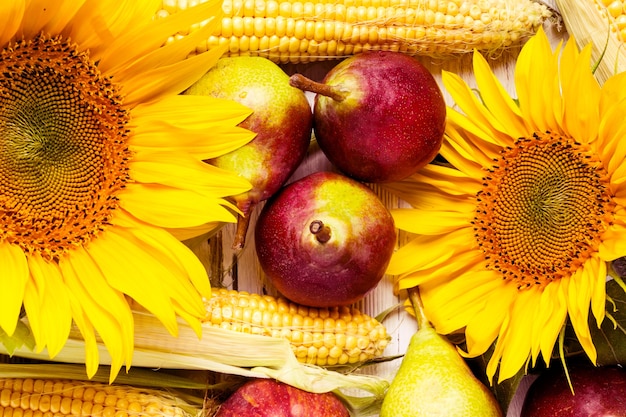 Herfst achtergrond met maïs, zonnebloem en peren. Oogst vakantie concept.