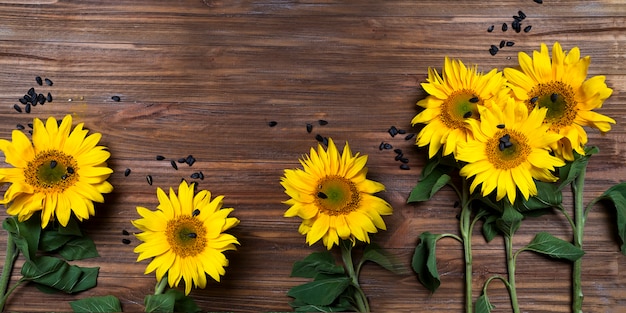 Herfst achtergrond met zonnebloemen