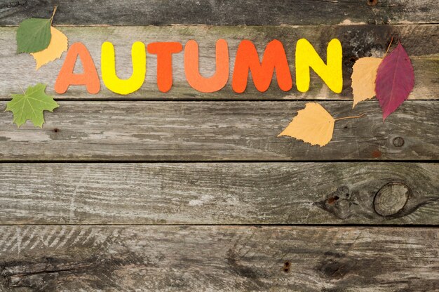 Herfst achtergrond op oude houten achtergrond. Handgemaakte woord herfst gemaakt van vilt. Herfstbladeren