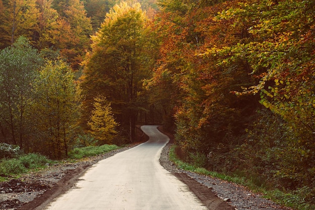 Foto herfst achtergrond