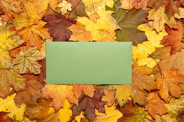 Herfst ansichtkaart met bruine en gele esdoorn bladeren