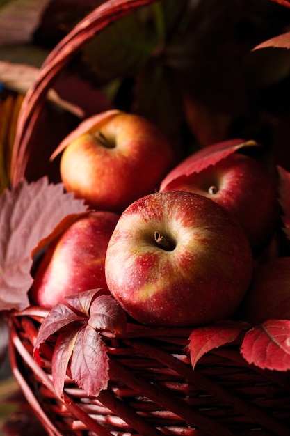 Herfst appeloogst. Rode appels in de herfstscène. Appels zijn dichtbij