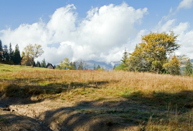 Herfst begin ochtend in de Karpaten, Oekraïne