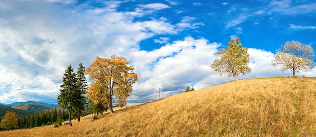 Herfst berg heuvel met kleurrijke bomen (Karpaten, Oekraïne). Vier schoten steek afbeelding.