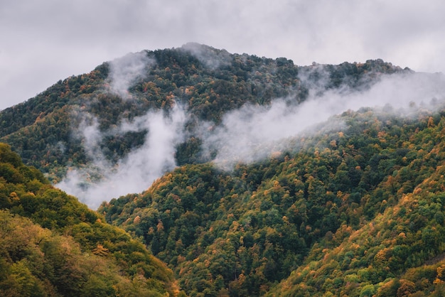 Herfst bergbos en wolken