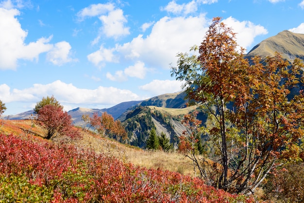 Herfst berglandschap in de franse alpen