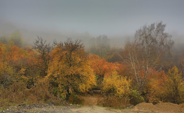 herfst berglandschap met sparren