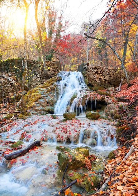 Herfst bergrivier in een kleurrijk bos