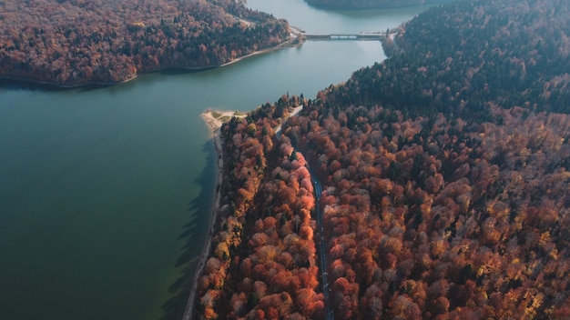 Herfst bergweg