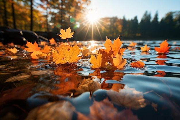 herfst bladeren achtergrond