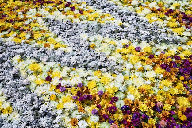 Herfst bloemen. Een tapijt van kleurrijke bloemen.