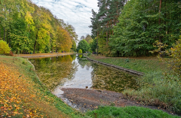 Herfst bomen met gele bladeren, schilderachtig meer boslandschap, Oekraïne, Sofyivsky park in Uman