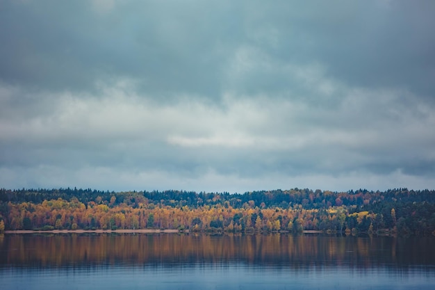 Herfst bomen met reflectie