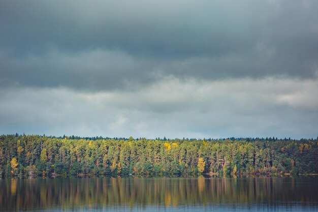 Herfst bomen met reflectie