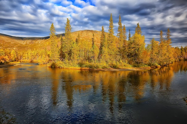 herfst bos bergen panorama, landschap bomen, natuur geel seizoen