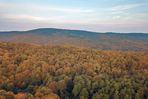 Herfst bos kleurrijke bomen en bladeren luchtfoto