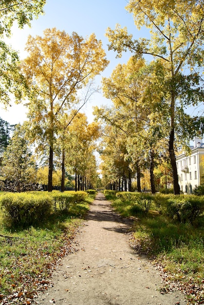 Foto herfst bos natuur landschap lucht