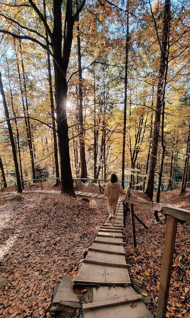 Herfst boslandschap met vrouw en gele bladeren