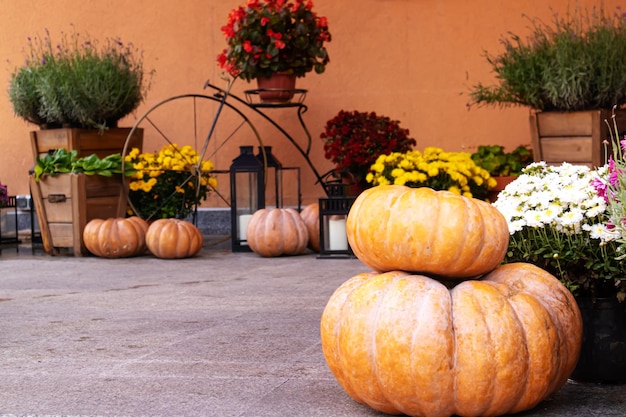 Herfst buitendecoraties van pompoenen, bloemen en hooi