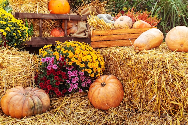 Herfst buitendecoraties van pompoenen, bloemen en hooi