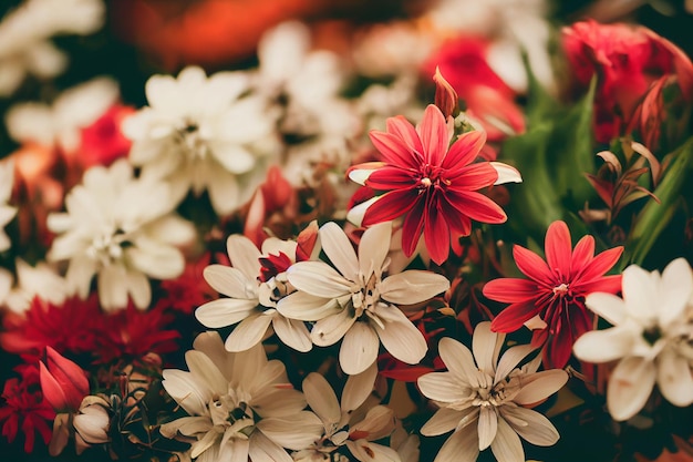 Herfst compositie gemaakt van prachtige bloemen op lichte achtergrond. floristische decoratie. natuurlijke bloemen