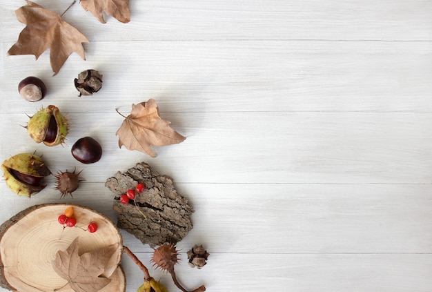 Herfst compositie herfst lay-out op een lichte houten achtergrond kastanjes gele droge bladeren