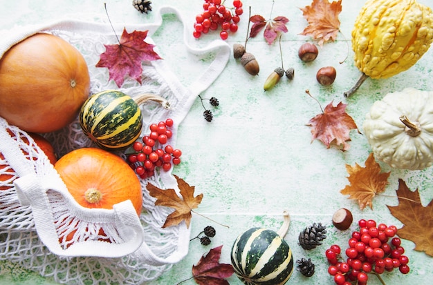 Herfst compositie met diverse pompoenen in eco string bag, thanksgiving achtergrond.