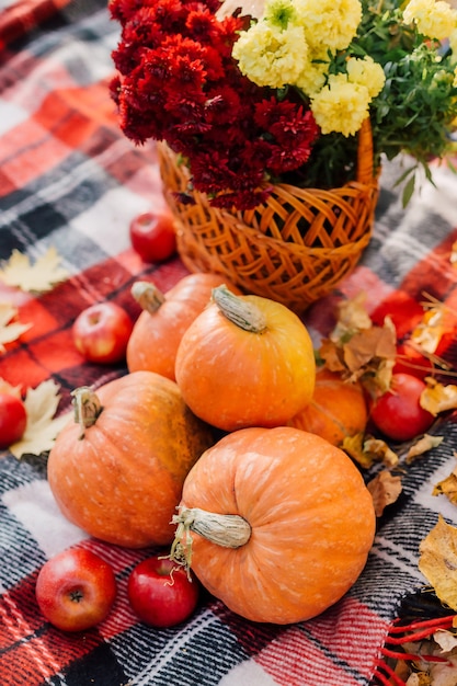 Herfst compositie met pompoenen, esdoorn bladeren en rode appels en bloemen.