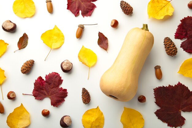 Herfst compositie. Pompoenen, gedroogde bladeren op pastel grijze achtergrond. Herfst, herfst, halloween concept. Platliggend, bovenaanzicht, vierkant, kopieerruimte