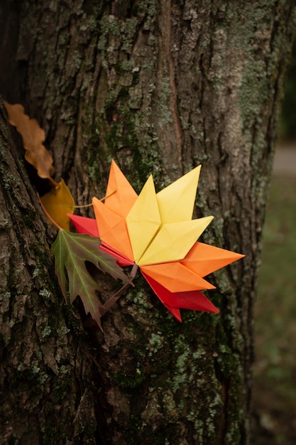 Herfst concept achtergrond traditionele papieren ambachtelijke handgemaakte origami gevallen esdoorn bladeren natuur Kleurrijke backround afbeelding perfect voor seizoensgebonden gebruik
