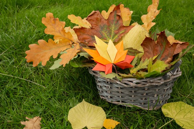 Herfst concept achtergrond traditionele papieren ambachtelijke handgemaakte origami gevallen esdoorn bladeren op veld natuur kleurrijke backround afbeelding perfect voor seizoensgebonden gebruik