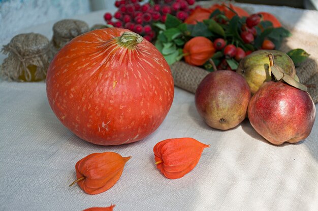 Herfst concept met seizoensgebonden groenten en fruit.