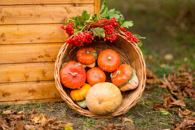 Foto herfst decor. pompoenen, bessen en bladeren buiten