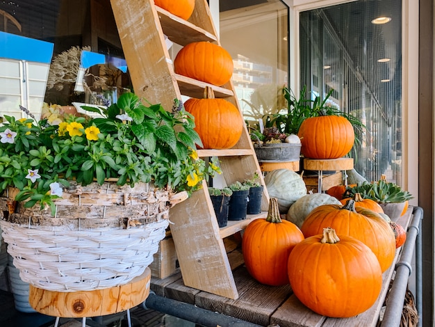 Herfst decoratie voor Halloween van Thanksgiving day met oranje pompoenen en bloemen