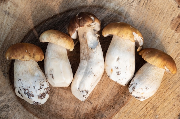 Herfst eekhoorntjesbrood. Populaire eekhoorntjesbrood op een houten tafel