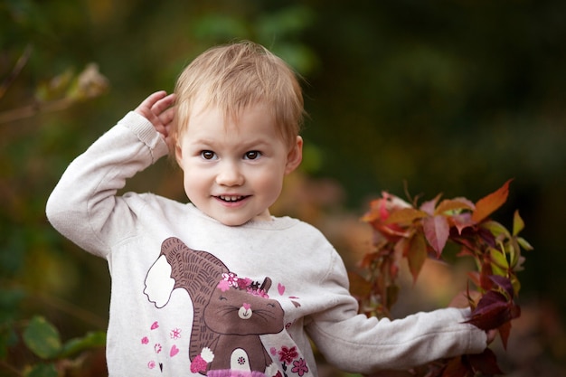Herfst emotioneel portret van klein meisje Mooi klein meisje met rode druivenbladeren in herfstpark Au