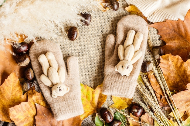 Herfst esdoorn bladeren, wanten met kleine teddybeer en kastanjes liggend op een bruin.