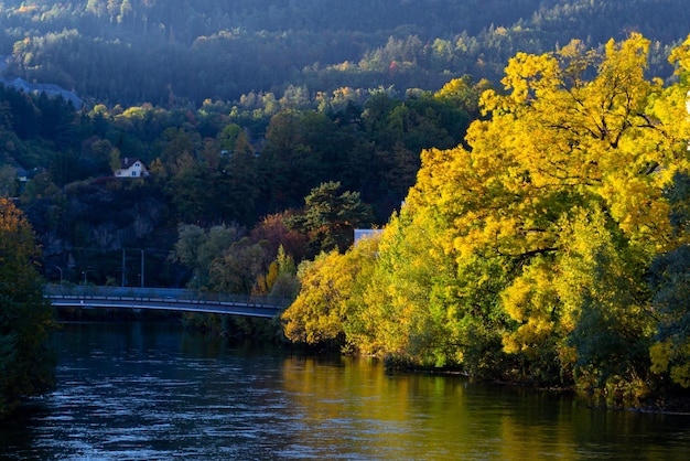 Herfst gele bomen over de rivier de Mur tegen de achtergrond van de Alpen