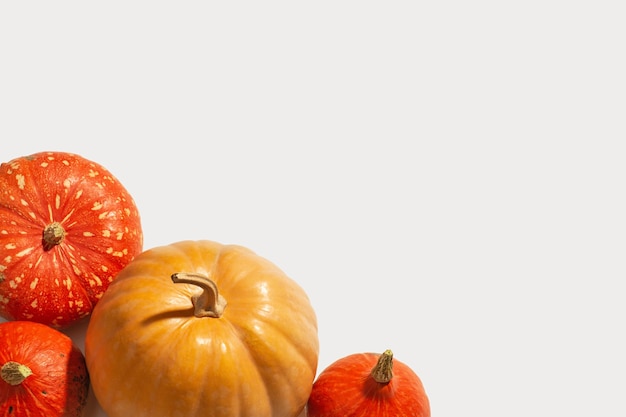 Herfst gele en oranje pompoenen op een witte geïsoleerde achtergrond