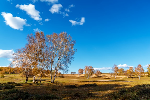 Herfst graslanden van Binnen-Mongolië