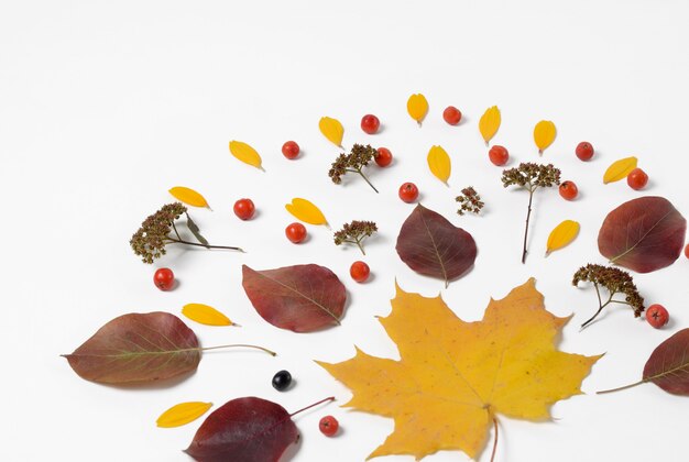 Herfst grens. Samenstelling van levendige rode en gele bladeren op een witte achtergrond.