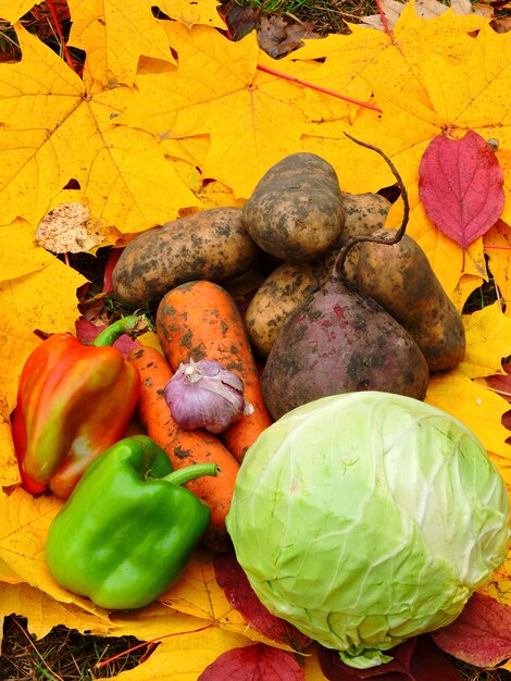 Herfst groenten op herfstbladeren