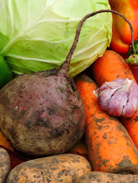 Herfst groenten op herfstbladeren