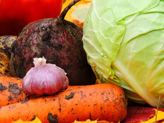 Herfst groenten op herfstbladeren