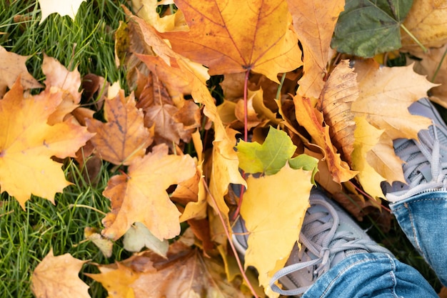 Herfst, hallo oktober concept. Close-up van vrouwelijke benen in sneakers die langs de stoep lopen