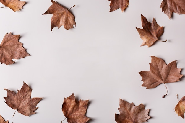 Herfst herfst achtergrond met bladeren kopieer ruimte