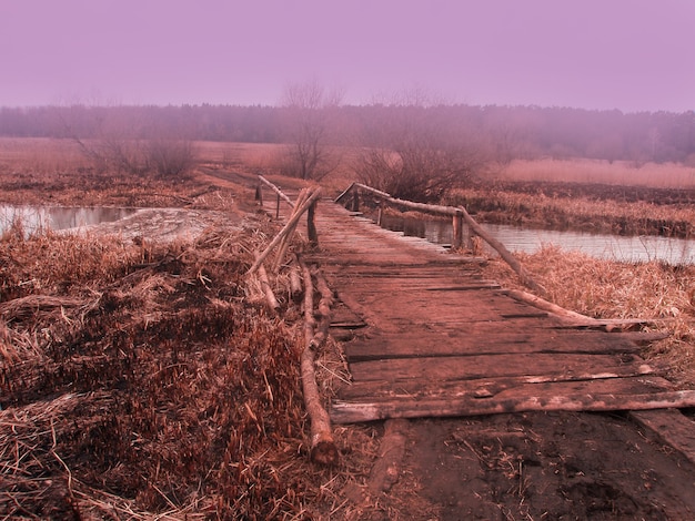 Herfst herfst bos. Kleine houten brug in de herfstbossen