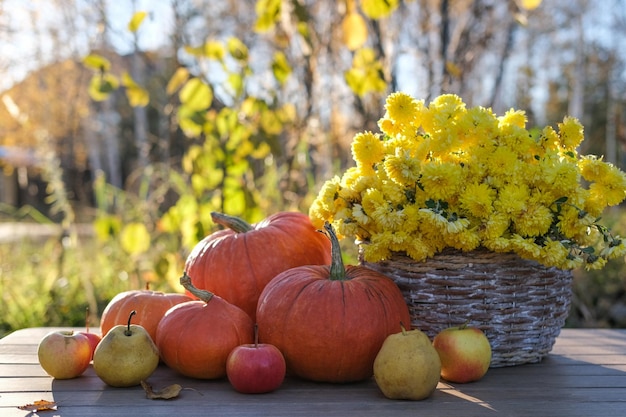 Herfst herfst compositie met pompoenen appels en mand met chrysanten